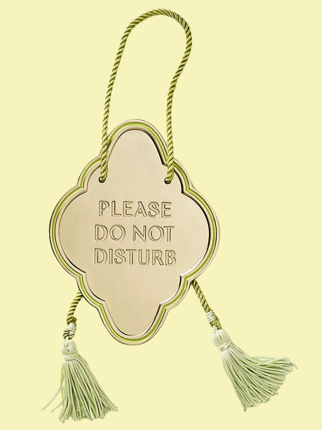 A 'Please Do Not Disturb' plaque from Anthropologie