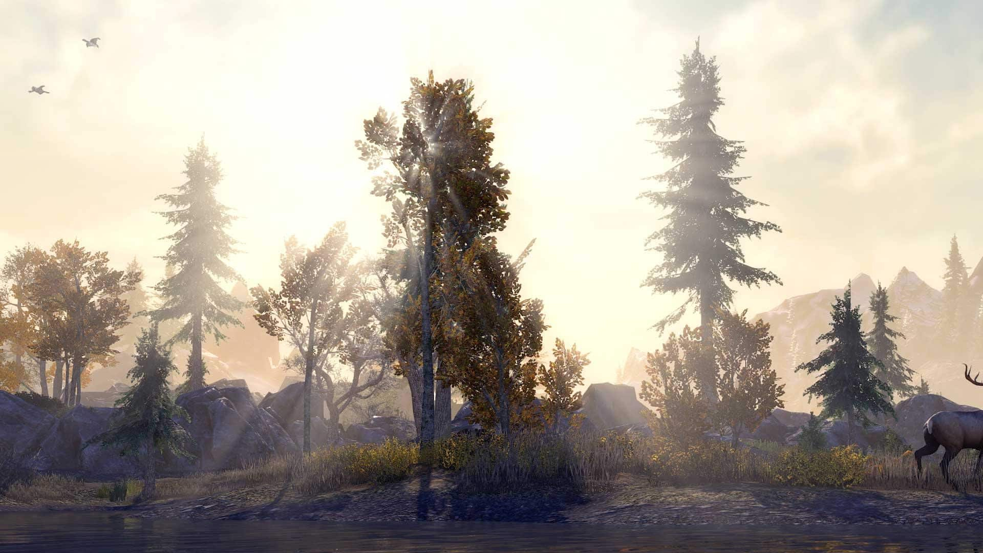 The revamped The Elder Scrolls Online console
