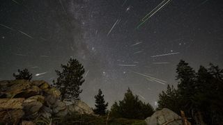 The Perseids Meteor Shower