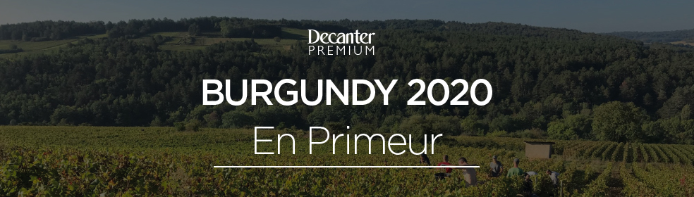 DECANTER_BURGUNDY_984X280.jpg