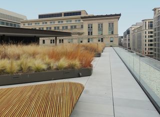 Martin Luther King Jr memorial library roof terrace