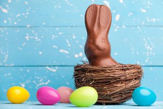 Close-up of a chocolate Easter Bunny in a nest surrounded by Easter eggs on a table