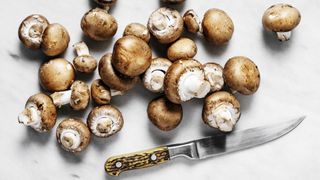 low calorie filling foods mushrooms