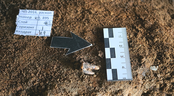 Neanderthal tooth in dirt with a ruler, arrow and key