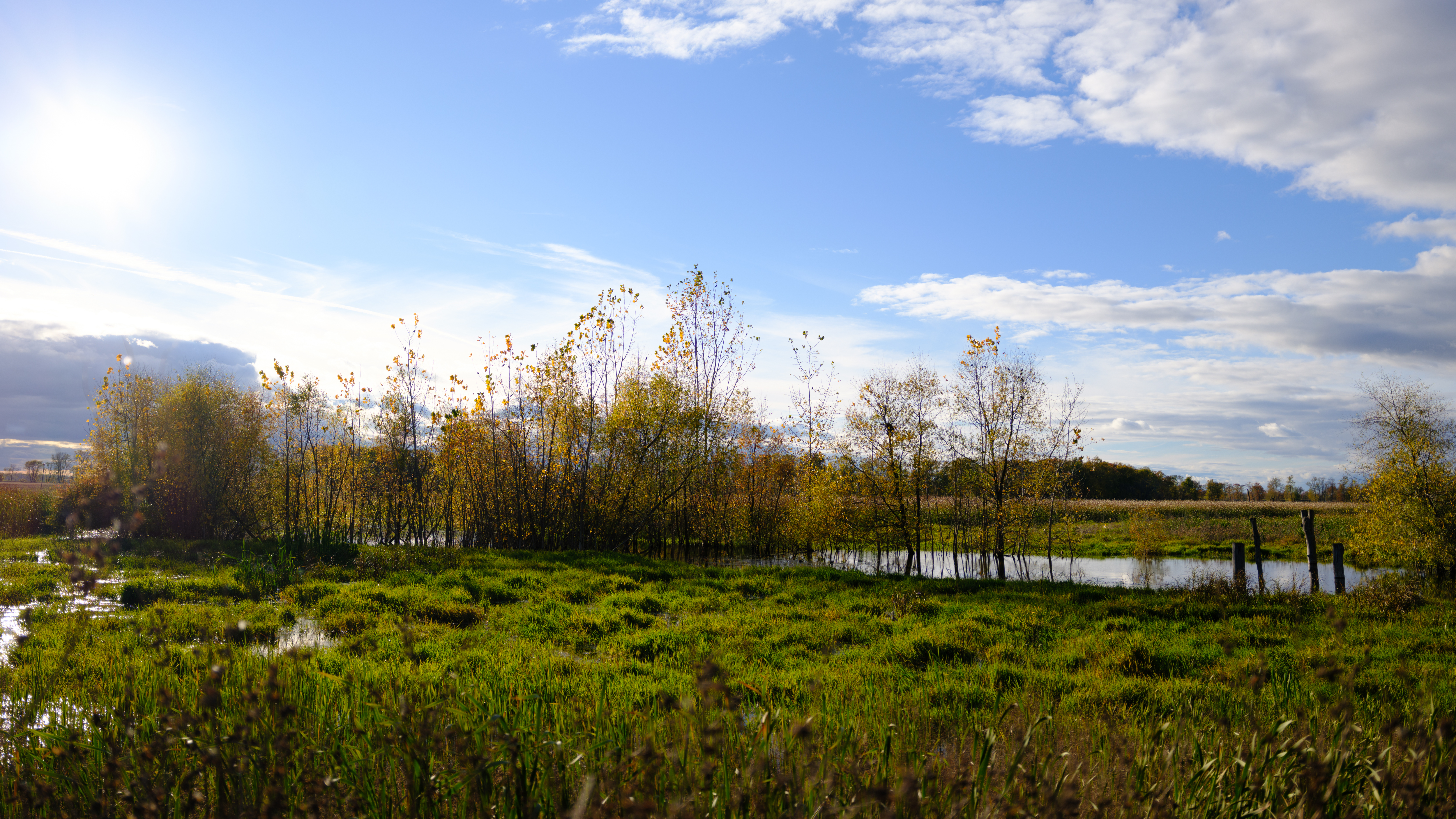 Fall photographs taken with the Fujifilm GFX100RF