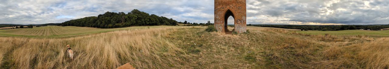 pixel 9 vbs pixel 8a panoramas of a tower on a moor with dogs in shot