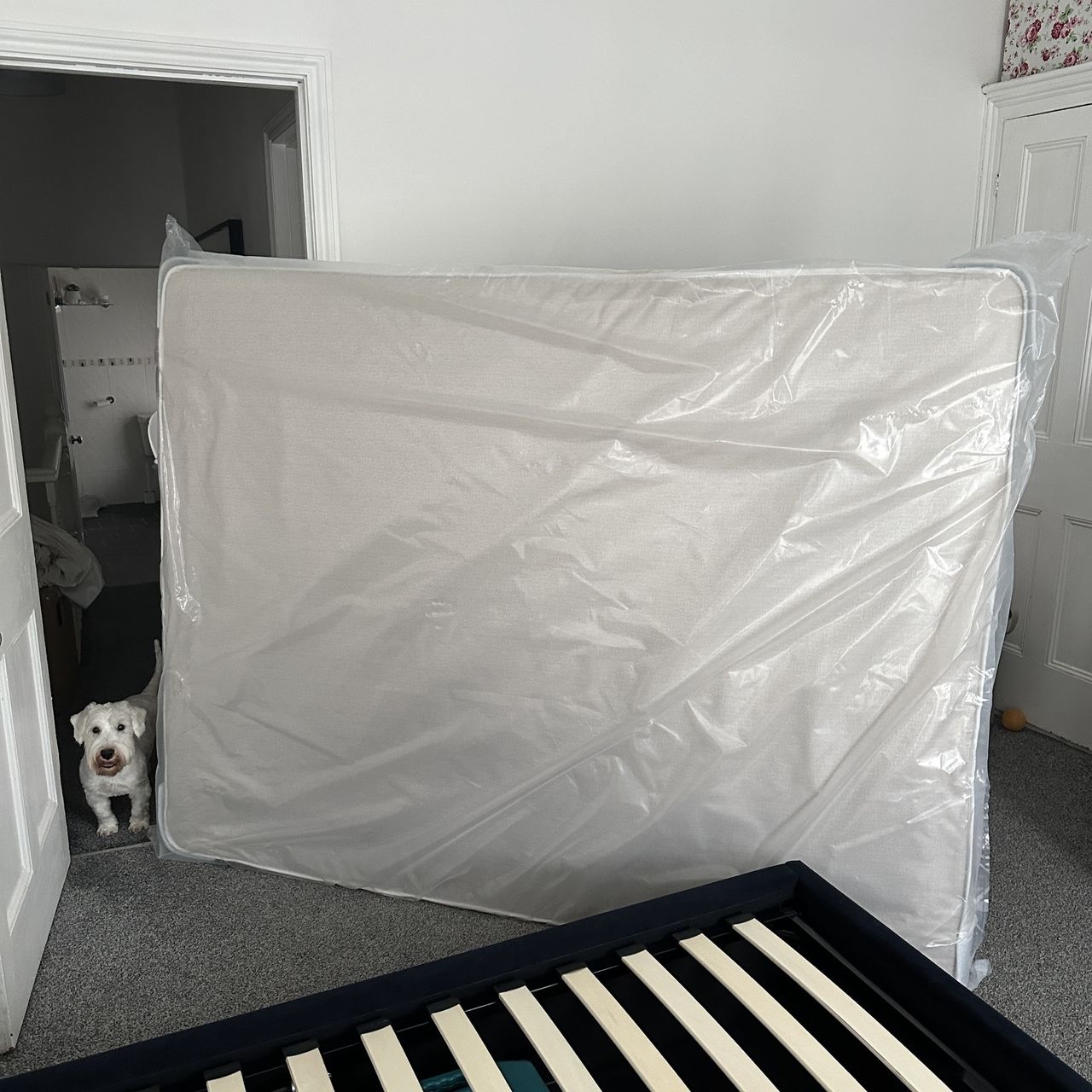 The Sleepeezee Jessica 1800 pocket mattress is delivered flat not in a box