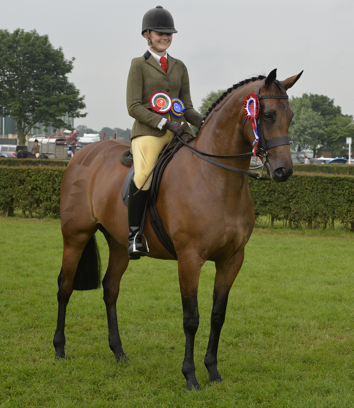 Lincolnshire Show 22 06 2016