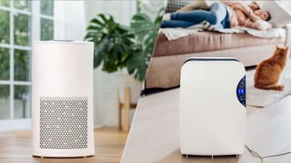 Air purifier vs humidifier