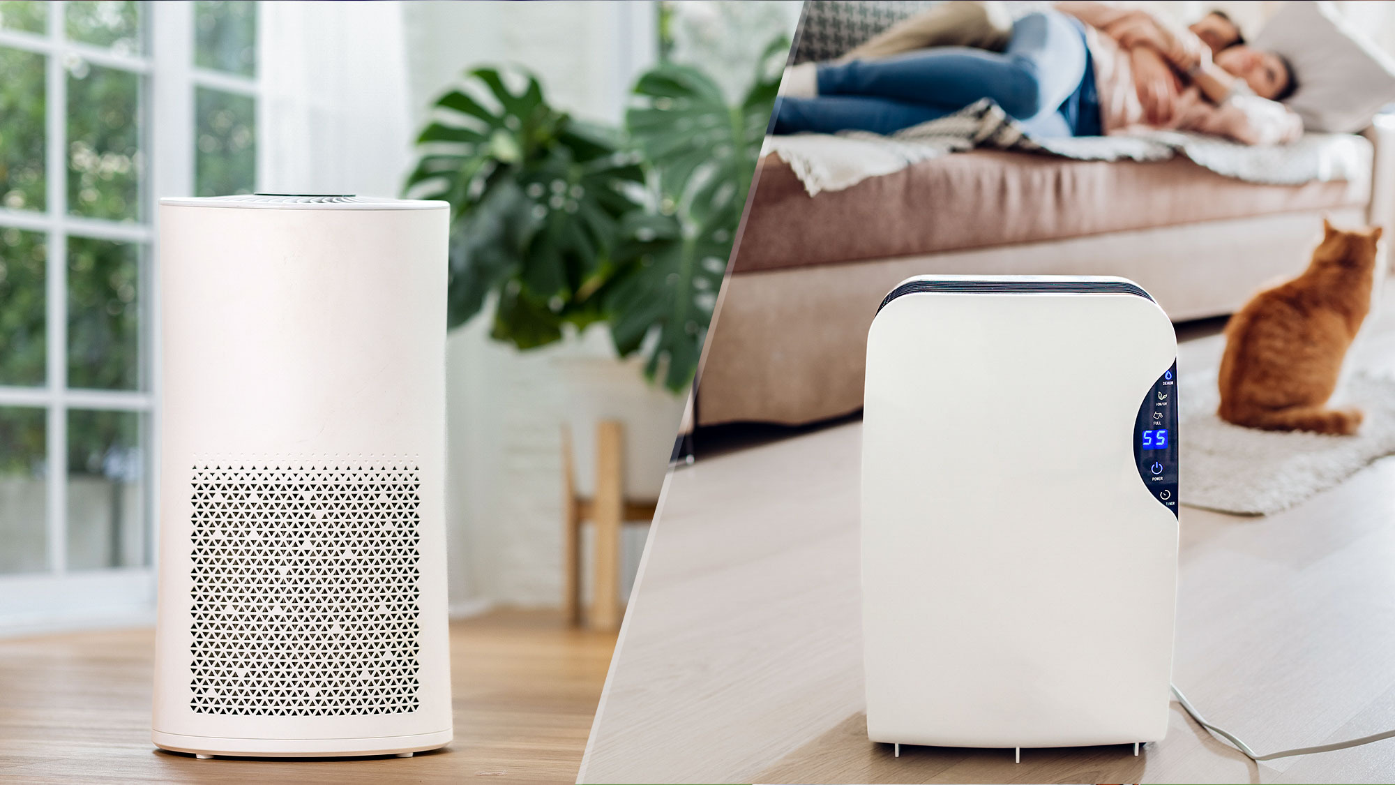 Air purifier vs. humidifier: Which should you buy?