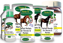 horsegroup.jpg