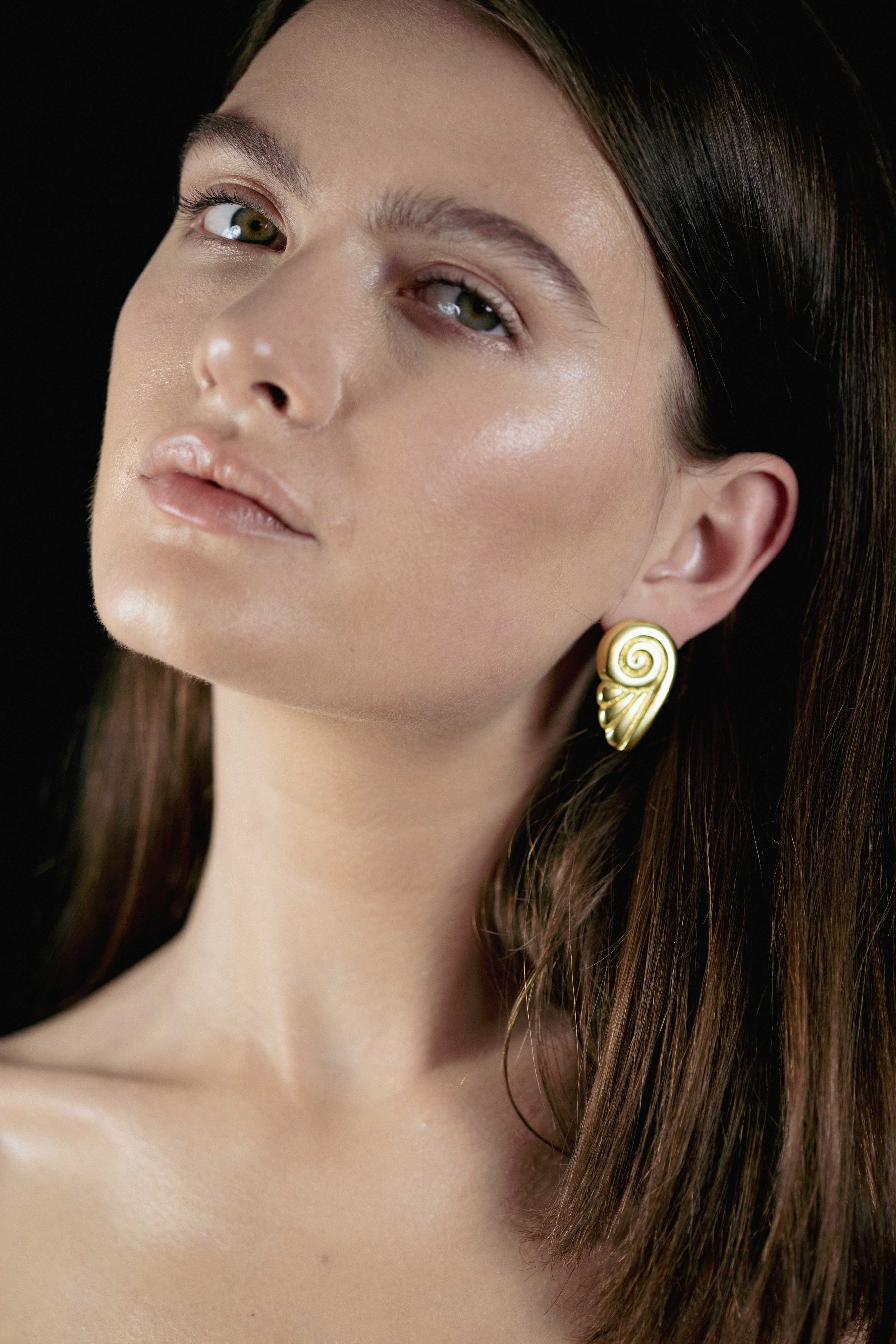 Ion clip earrings