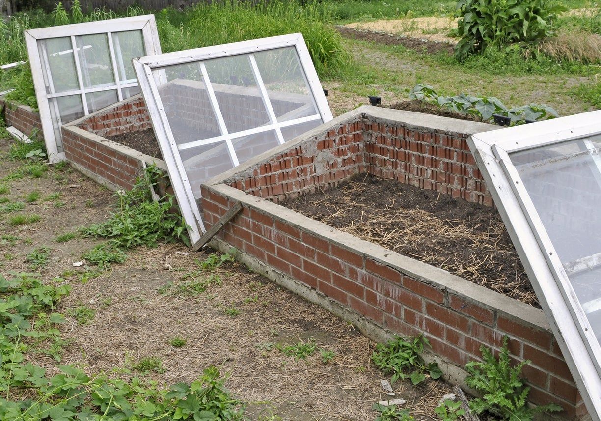 DIY Cold Window Frames Near Raised Garden Beds