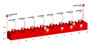 Stage 8 - Tour de Suisse: Sagan wins on chaotic Schaffhausen circuit