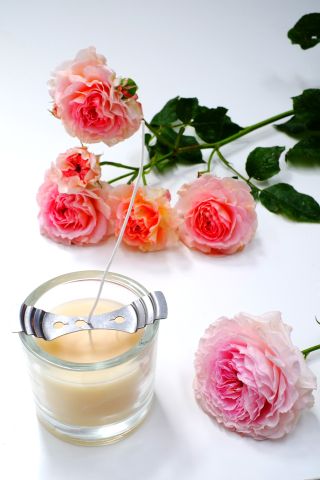 Candle and pink and orange roses