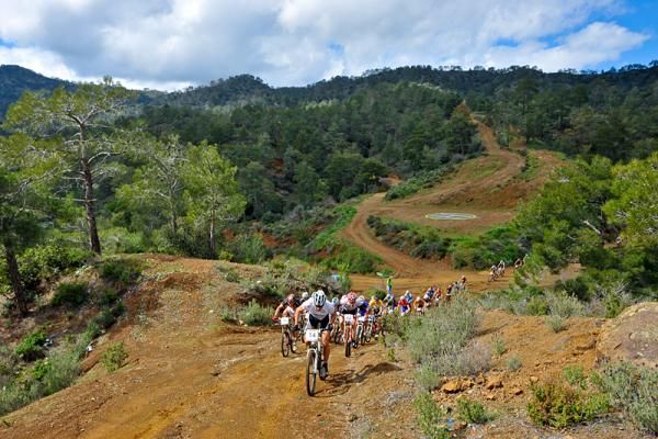 The lead group in the men's race.