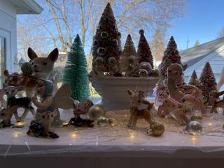 iPhone 12 Pro Max wide lens