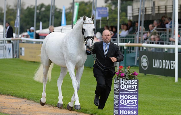 Burghley Horse Trials 02 09 2015