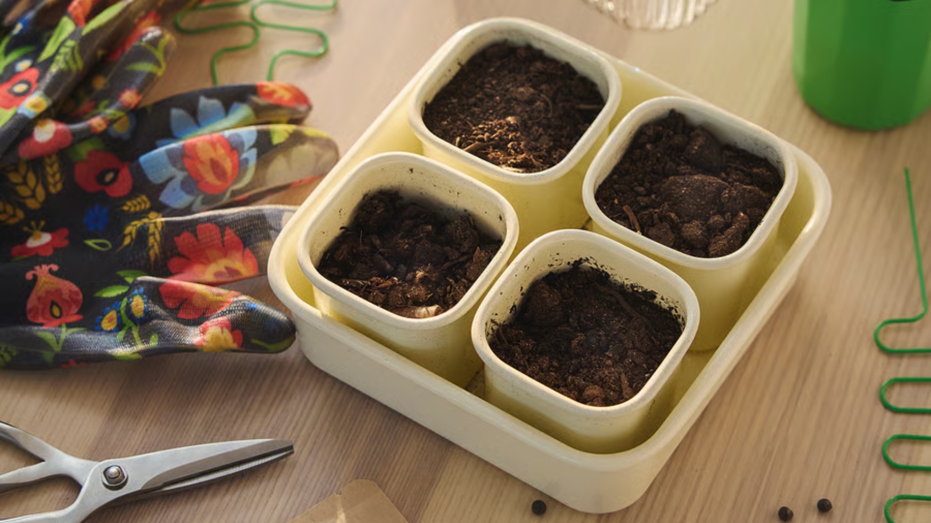 DOFTRIPS plant starter set