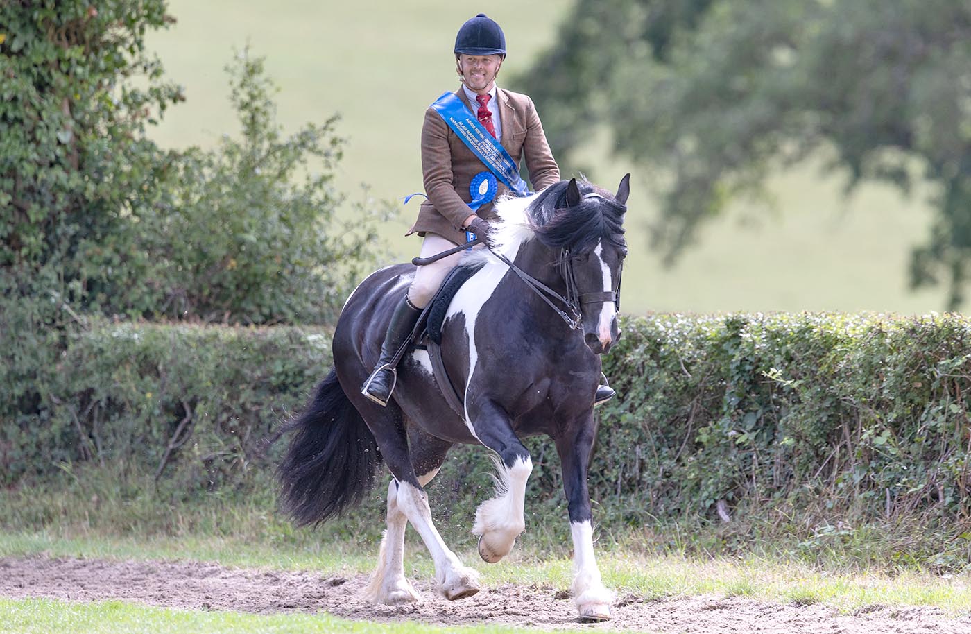 David Bennett and Lynuck Look at Me in The Alan Marnie &amp;amp; Family Skewbald &amp;amp; Piebald supreme championship