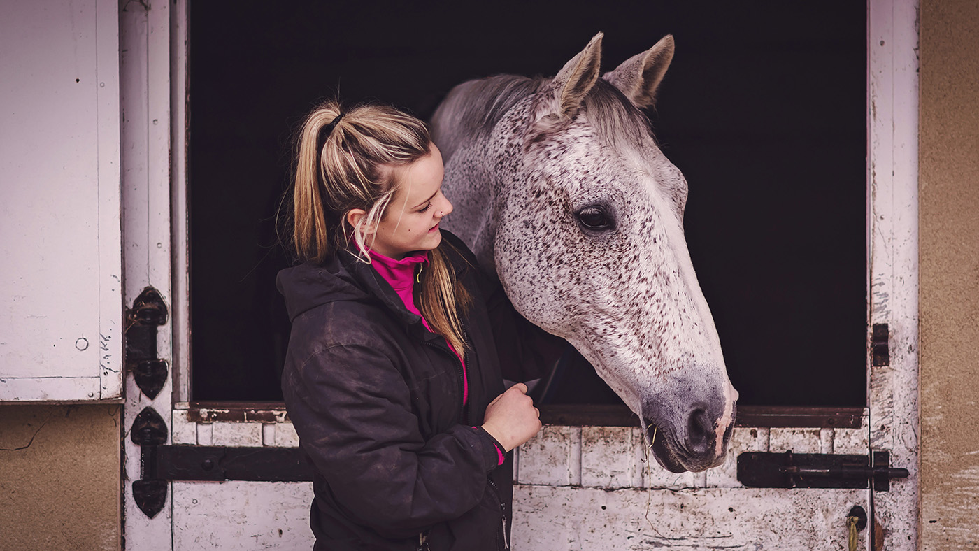 A grey horse looking over its stable door with owner looking on