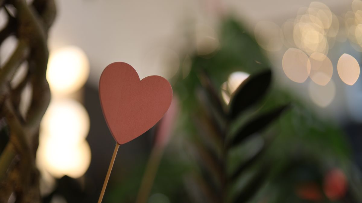 Canon RF 45mm f/1.2
