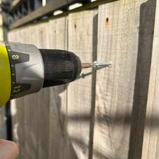 Screwing nail into wooden fence in garden with power drill