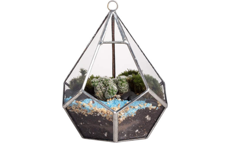 Best hanging terrariums
