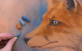 how to draw a fox - image of a fox in pastels