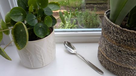 Spoon on windowsill