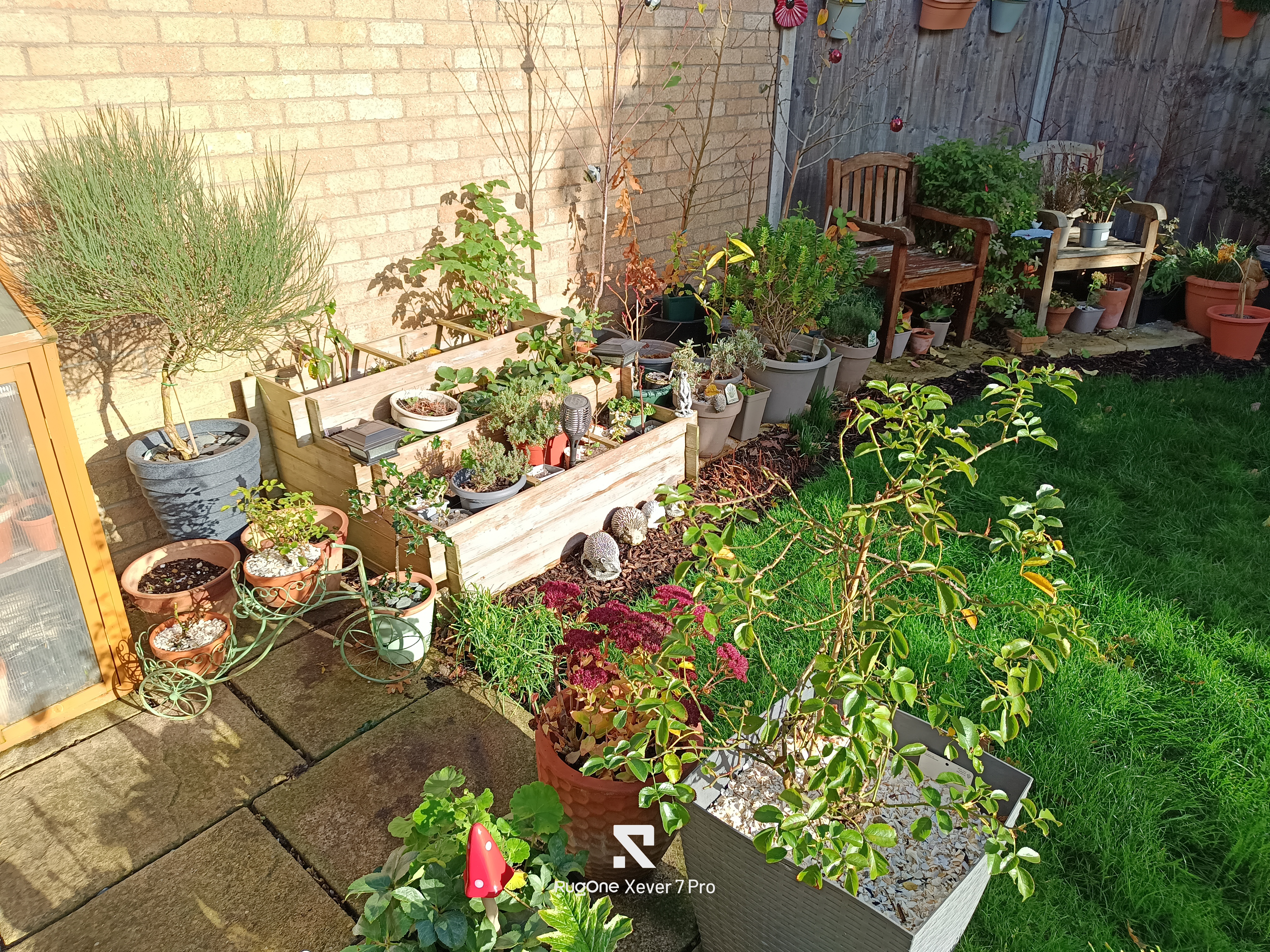 RugOne Xever 7 Pro Photo Examples