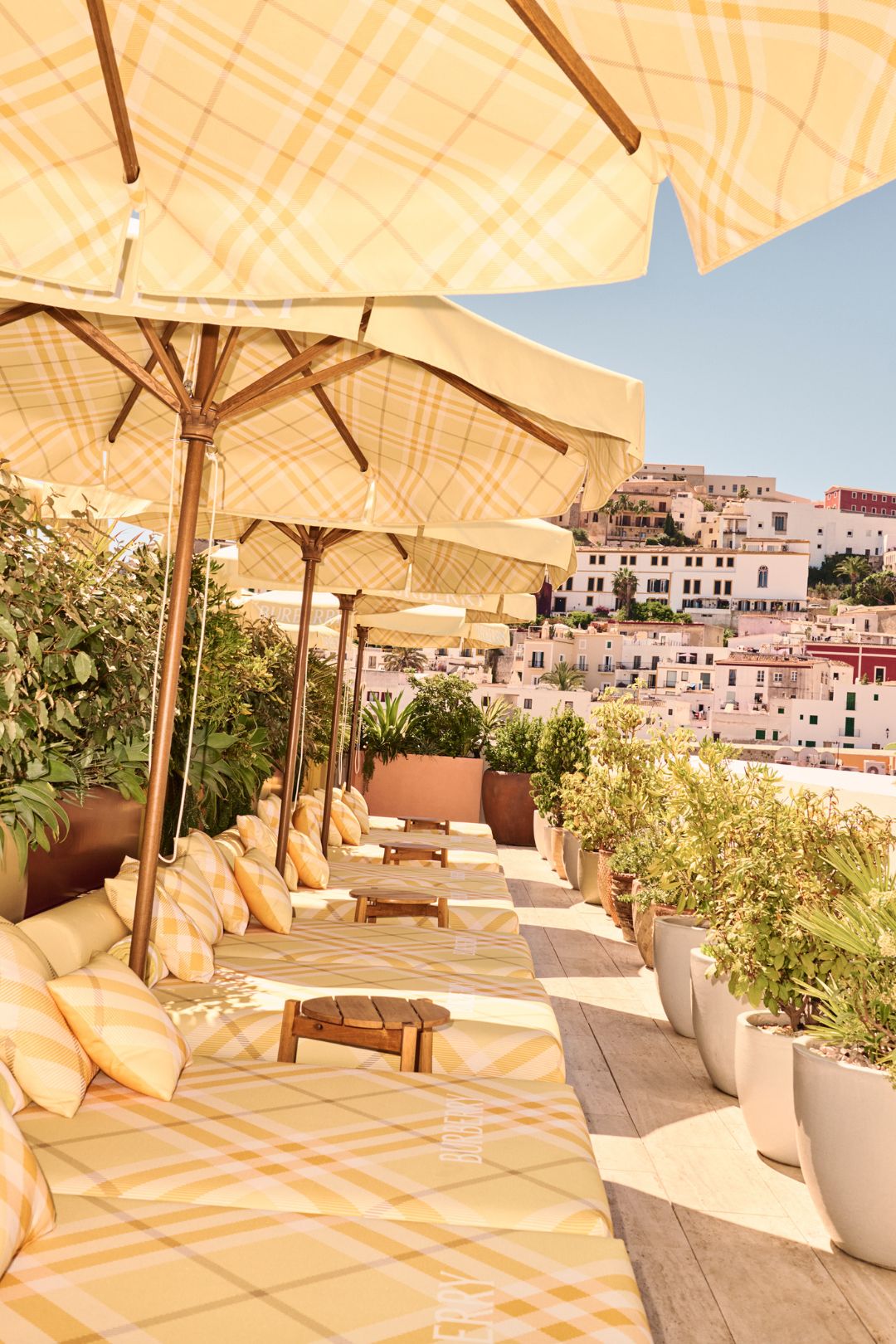 A series of checkered pale yellow and white parasols sits on a sun-lit terrace filled with potted plants against a urban background.