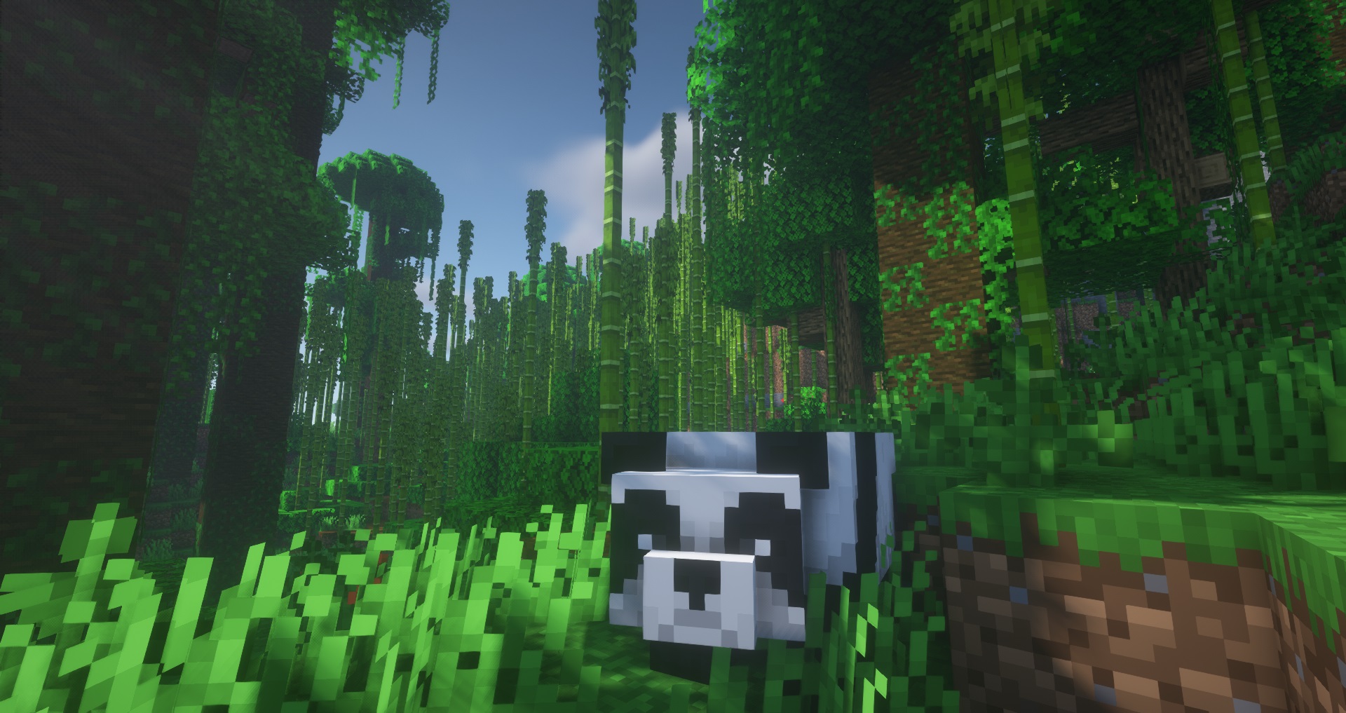 Minecraft seed - big bamboo jungle - A panda mob stands in the center of a large bamboo forest