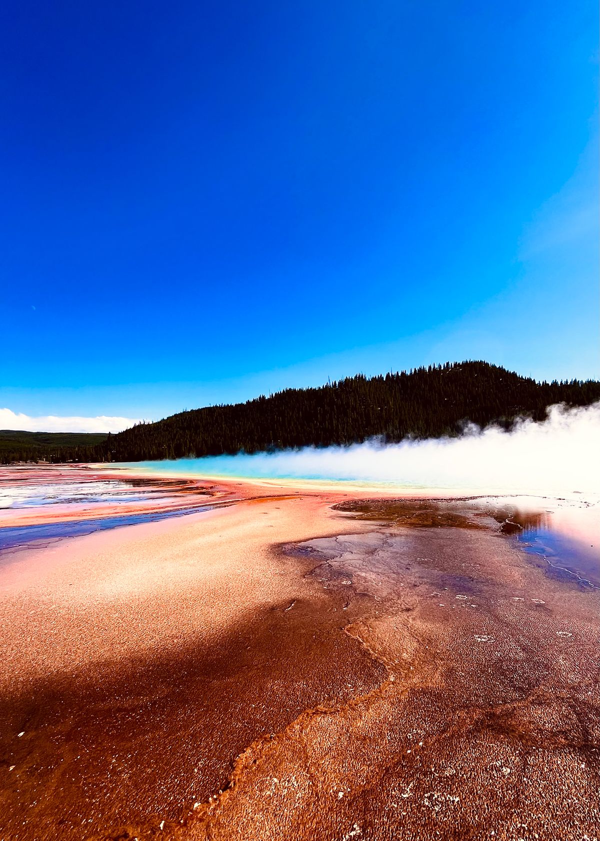 Winning or shortlised image for the The Week Junior Science+Nature Scavenger Hunt contest
