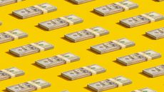 Stacks of $100 bills are lined up against a bright yellow background.