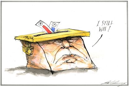 U.S. Trump ballot box midterm elections voting House Democrat majority