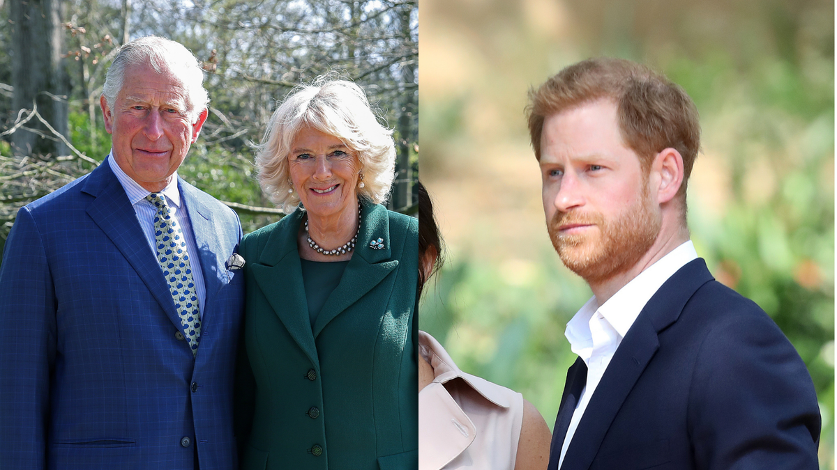 Prince Charles fears Prince Harry’s memoir will cause ‘reputational damage’ to Camilla