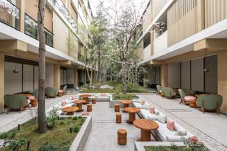 A Japanese hotel features an inner courtyard with minimalist wooden furniture and cherry trees.