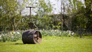 A lawn roller sitting on a lawn
