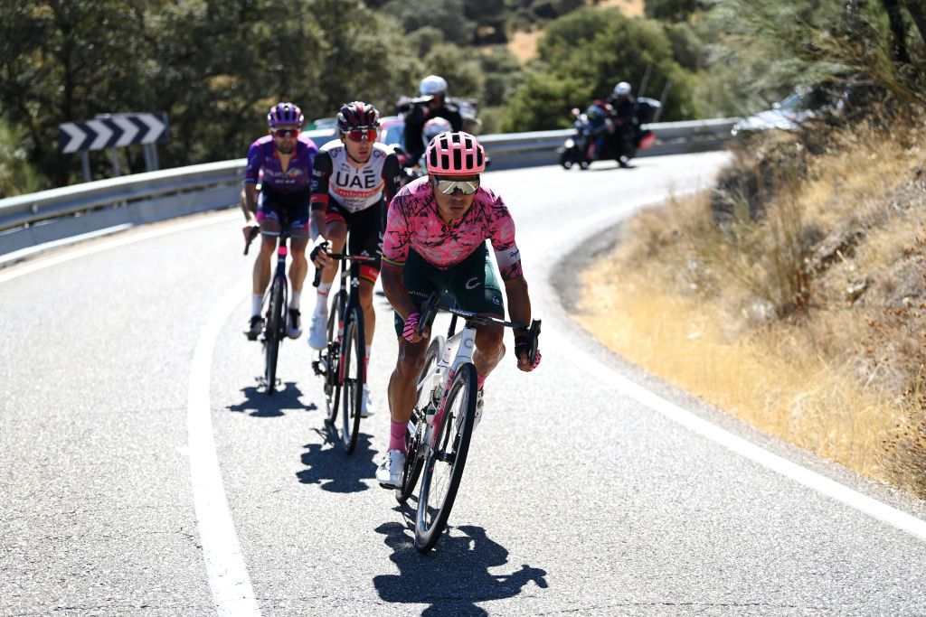 TALAVERA DE LA REINA SPAIN SEPTEMBER 09 Jonathan Klever Caicedo Cepeda of Ecuador and Team EF Education Easypost competes during the 77th Tour of Spain 2022 Stage 19 a 1383km stage from Talavera de la Reina to Talavera de la Reina LaVuelta22 WorldTour on September 09 2022 in Talavera de la Reina Spain Photo by Justin SetterfieldGetty Images