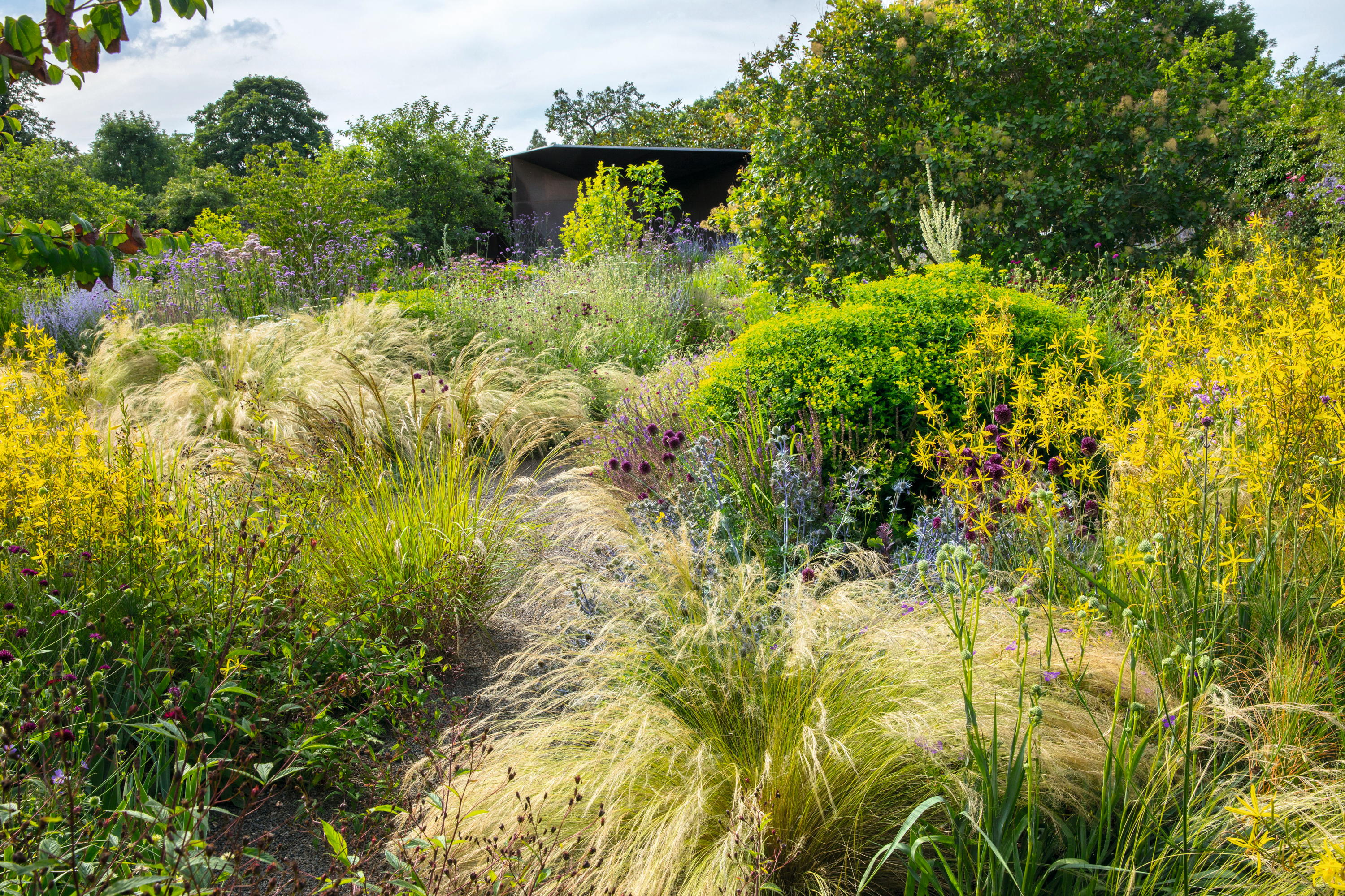 Stipa tenuissima and Asphodeline liburnica in the walled garden at Culham Court in Berkshire, designed by Tom Stuart-Smith