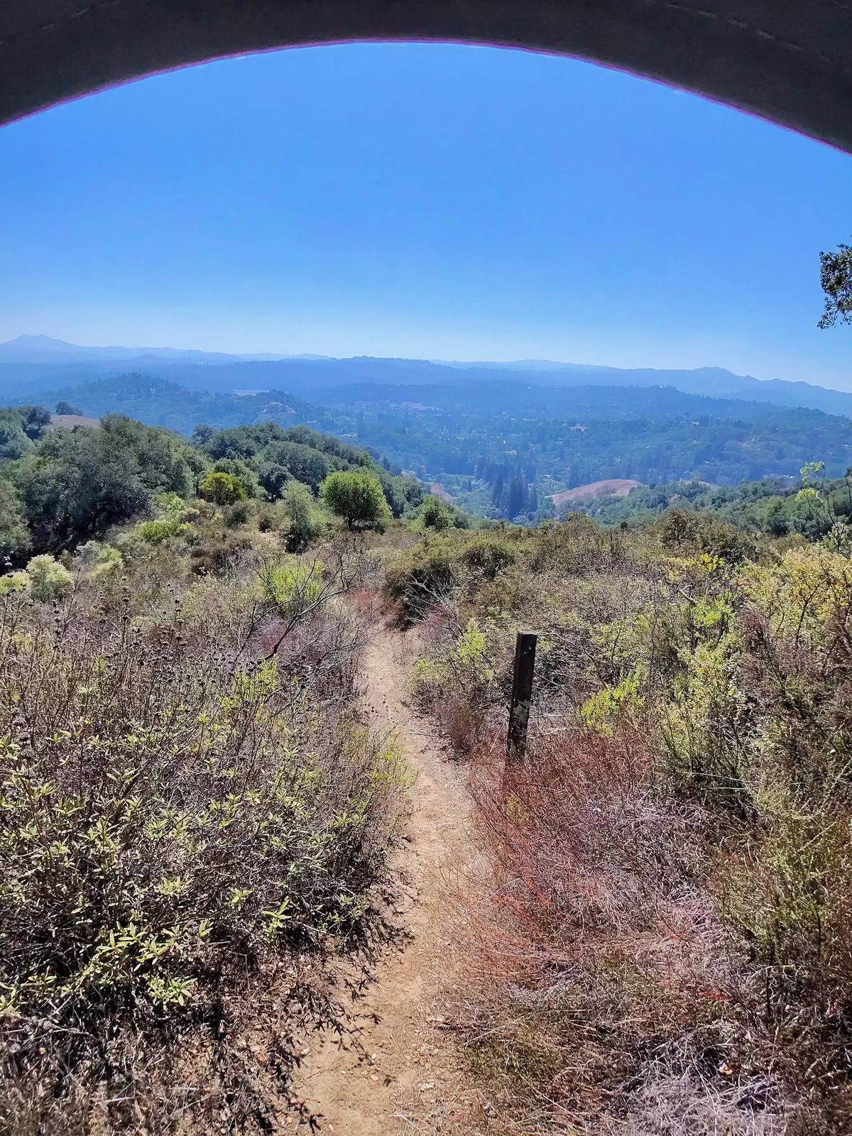 A nature photo taken of a narrow, overgrown trail with a wide valley behind it, using the Oakley Meta Vanguard smart glasses.