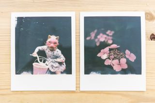 Flat lay of Polaroid SX-70 prints on wooden table, one of a young girl on a bike in a mask, another of pink flowers