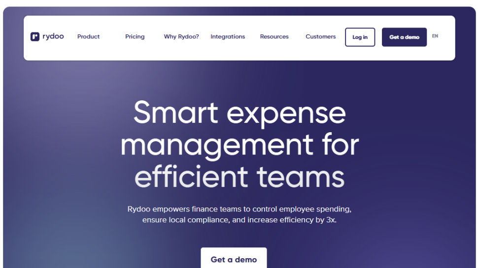 Rydoo website screenshot (May 2025)