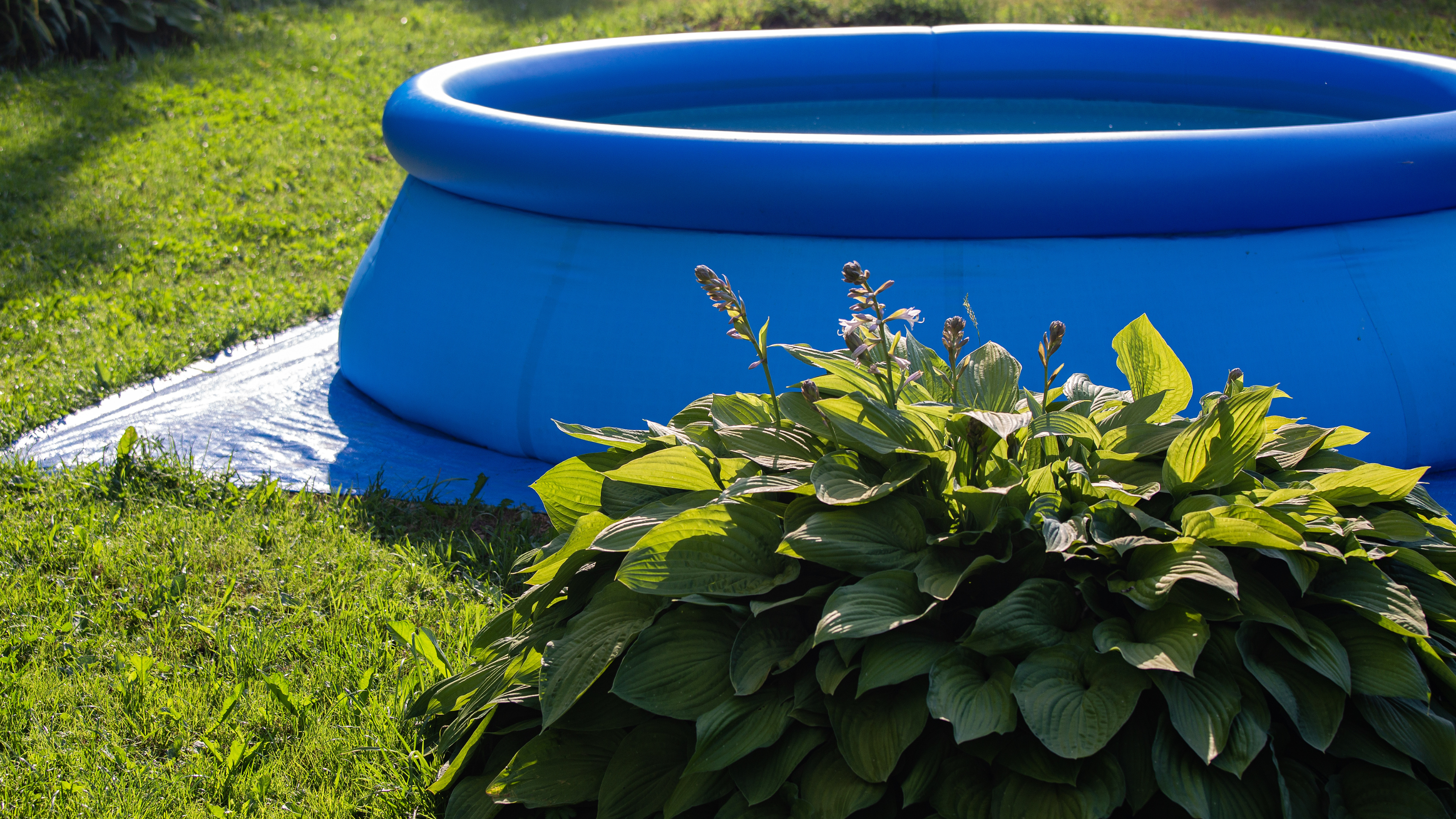 Large blue paddling pool on a lawn.