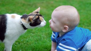 baby and cat
