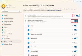 Windows 11 enable microphone access