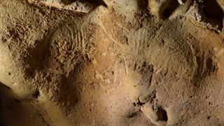 Examples of engravings discovered in the Roche-Cotard cave (Indre et Loire - France). On the left, the "circular panel" (ogive-shaped tracings) and on the right the "wavy panel" (two contiguous tracings forming sinuous lines).