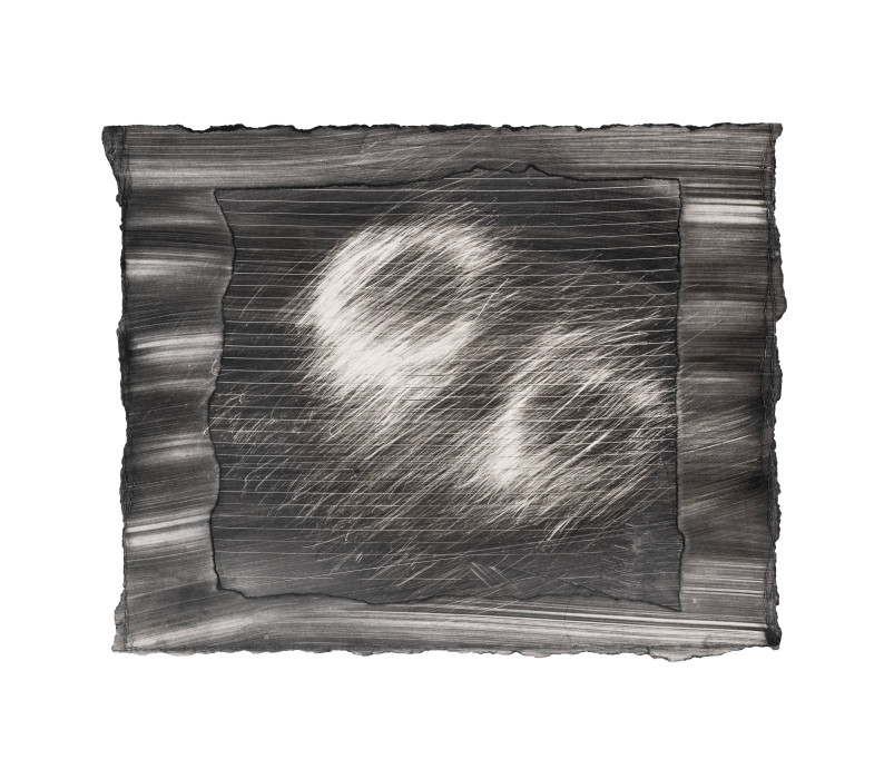 whitten_anomaly 1 copy