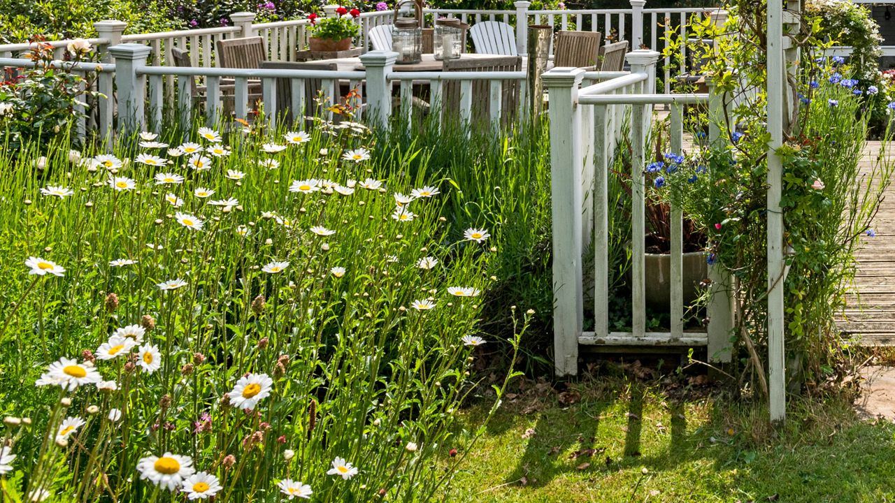 A garden with a gate and a flower bed